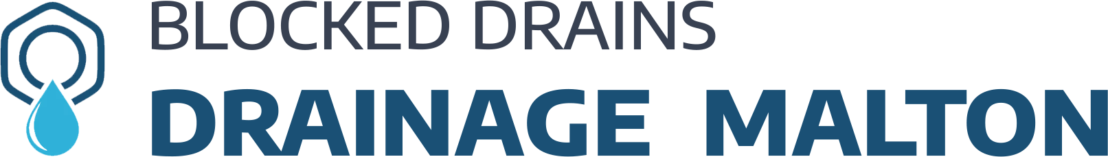 website logo